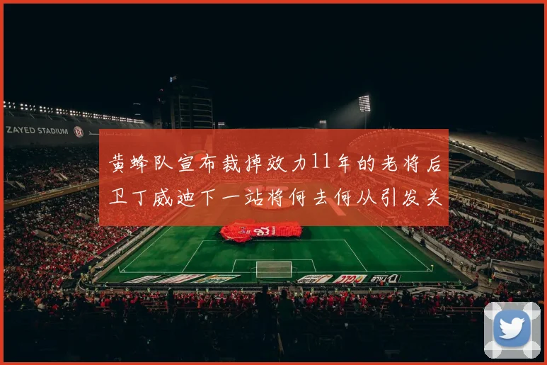 黄蜂队宣布裁掉效力11年的老将后卫丁威迪下一站将何去何从引发关注