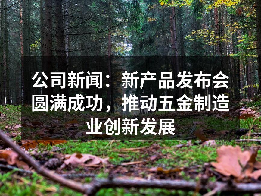 公司新闻：新产品发布会圆满成功，推动五金制造业创新发展